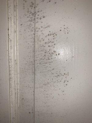 Darden Real Estate Company