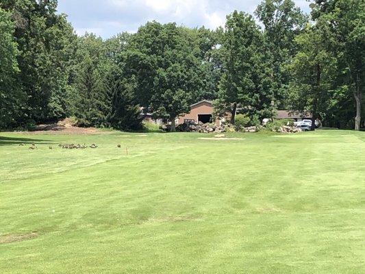 Mayfair Country Club