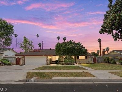 Madeline Meighan - Exp Realty