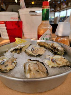 Oysters on the half