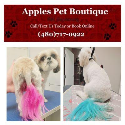 Apples Pet Boutique