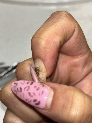 ABSOLUTELY FUCKING VILE