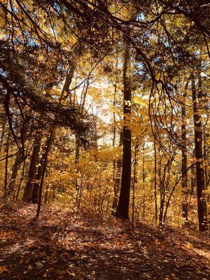 Bear Mountain