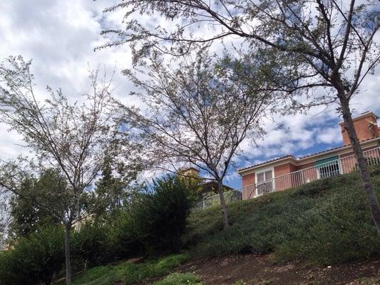 Canyon Crest Clubhouse