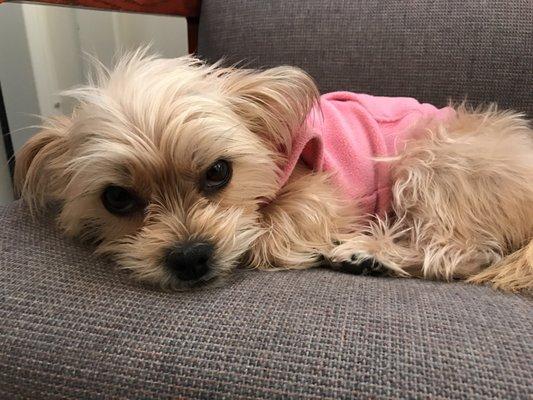 She looks tired here but she's a sweet greeter