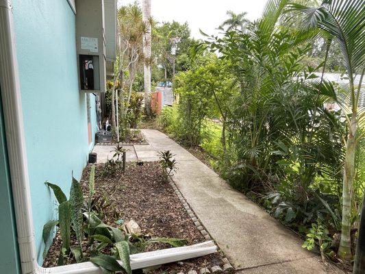 Beaver Stump Grinding LLC