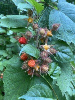 Kendal Crossland Communities