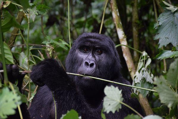 Bella Travel Planning