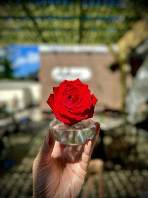 Antonio's Italian Bistro