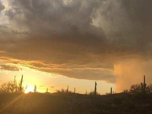 Circle M Riding Stable