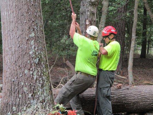 L.G. Scott Landscaping & Tree Service