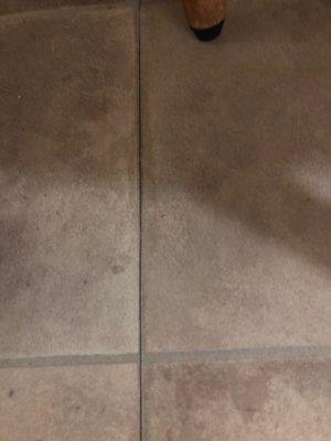 Morgan County Carpet