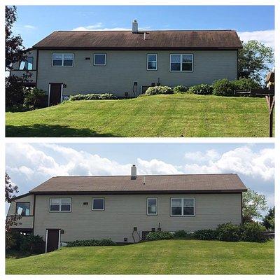 Roof Shampoo Vermont