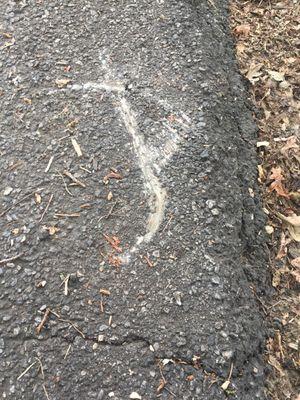 Picture of asphalt that they scratched up. wish I would've taken a picture of the yard