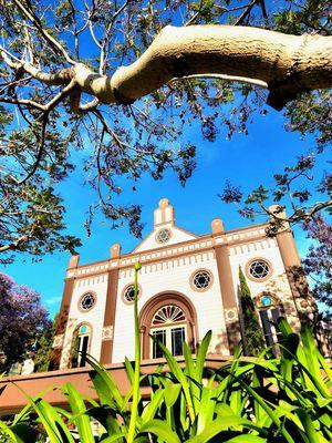 balboa park photography tours for beginners