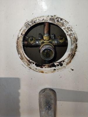 Rauls Handy Services