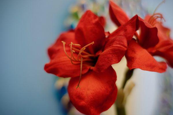 A Plus Family Dentistry