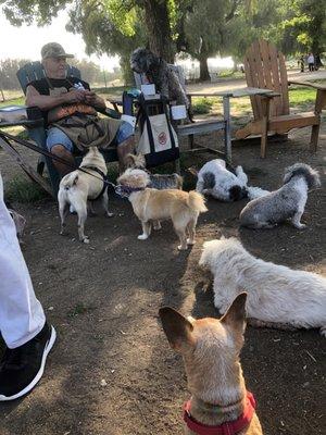 Happy Dog Sitting by Isaac