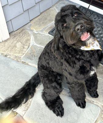 Woofie’s of Walnut Creek