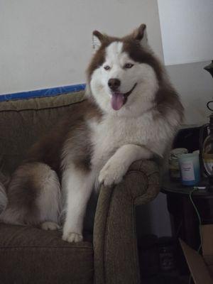 I love my peeps at Size Matters!!