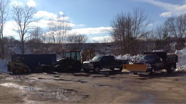 PR Anderson Tree & Landscape