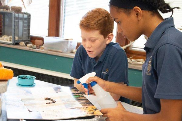 Waldron Mercy Academy