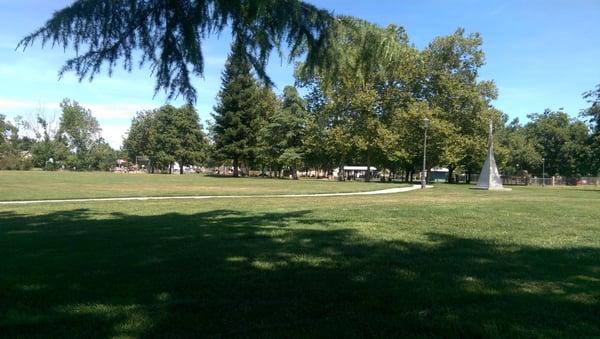 Afternoon at the park.