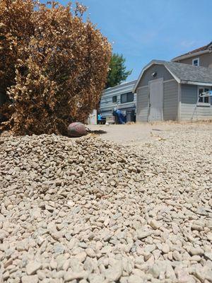 Santinis Custom Landscape Designs