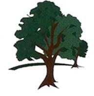 JP Trees and Landscaping