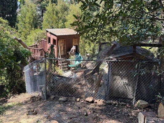 Restored fence after tree fell