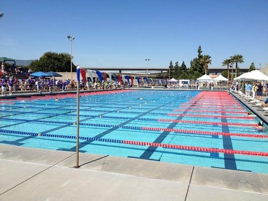 Quicksilver Swimming