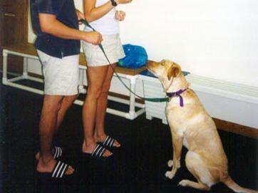 Pawsitive Directions Behavior & Training