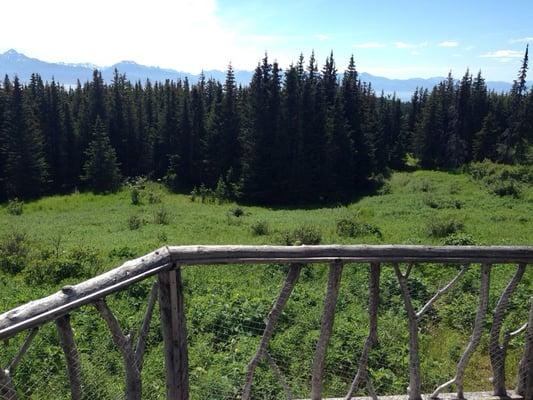 Carl E Wynn Nature Center