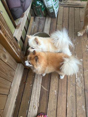 Hand & Stone Massage and Facial Spa