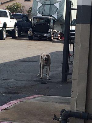 A-1 Radiator and Air Conditioning