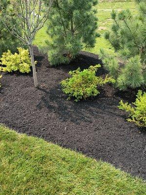 Bailey's And Walders All Purposes Services