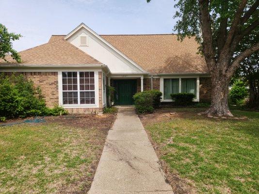 The Tree Musketeers of North Texas