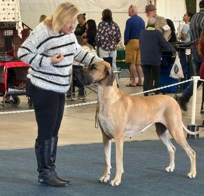 Yuma County Fairgrounds