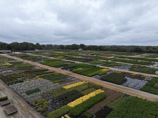 Moore & Davis Nursery