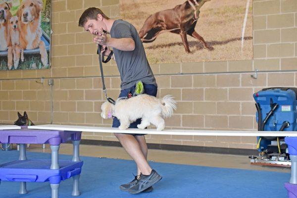 Sit Means Sit Northwest San Antonio