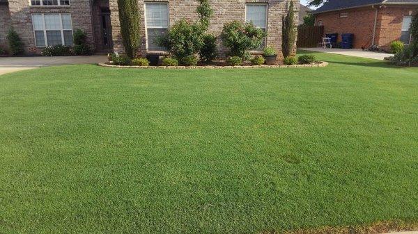 Above and Beyond Landscaping