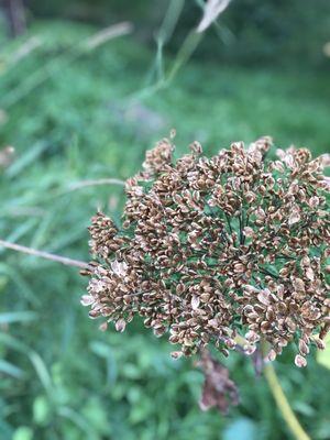 Rv Outdoor Adventures & Cabins