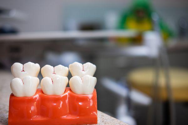 Texas Tooth Fairies Pediatric Dentistry