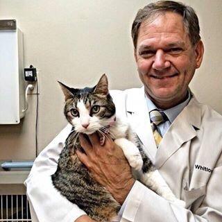 Whitlow Dan M Dr Vet