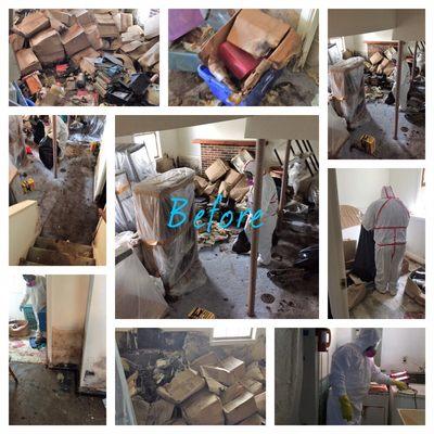 Premium Service Restoration