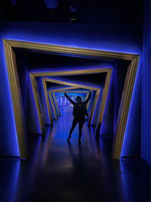 Immersive Van Gogh Exhibit