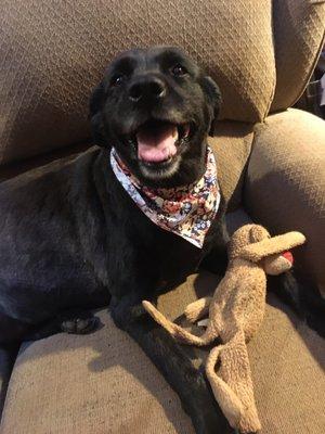 Another Spa Day with Myndi. Glady is so happy looks and smells so good. Thank you again for taking such good care of my baby Girl.