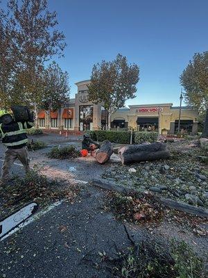 Valley Falls Tree Care