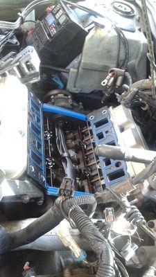 Bulldog Automotive Services