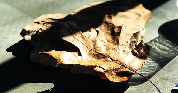 Notch Estates Homeowners Assoc